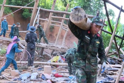 Các lực lượng tham gia giúp người dân di chuyển nhà, tài sản đến nơi an toàn.