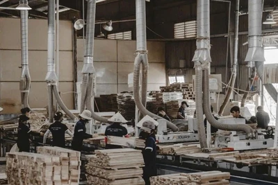 Sản xuất gỗ ở Công ty xuất nhập khẩu Thiên Lộc.