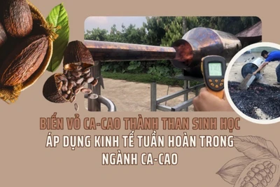 Biến vỏ ca-cao thành than sinh học - áp dụng kinh tế tuần hoàn trong ngành ca-cao