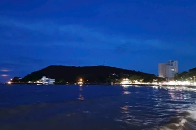 AI mở ra hướng mới cho bảo tồn đa dạng sinh học biển.