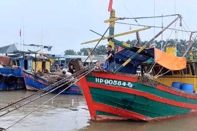 Ngư dân Hải Phòng neo đậu tàu thuyền, chủ động phòng tránh bão số 11.