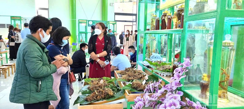 Du khách tham quan Sàn giao dịch Sâm Ngọc Linh tại Lễ hội Sâm Ngọc Linh năm 2024. (Ảnh: ĐÌNH TĂNG) ndo_br_samnl1.jpg