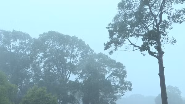 [Video] Không khí lạnh sẽ gây mưa lớn cho miền Bắc