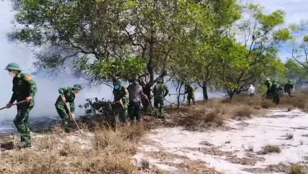 [Video] Điều tra nguyên nhân vụ cháy rừng phòng hộ ven biển tại Quảng Trị