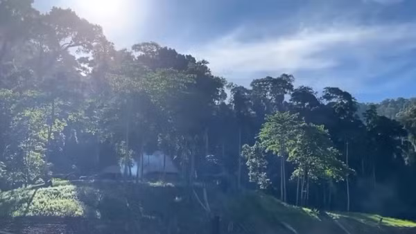 [Video] Sàn giao dịch carbon trong nước sẽ khai trương vào ngày 29/6