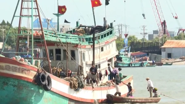 [Video] Cà Mau chấm dứt triệt để tình trạng tàu cá mất kết nối VMS
