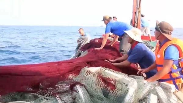 [Video] Kế hoạch hành động tháng cao điểm chống khai thác hải sản bất hợp pháp