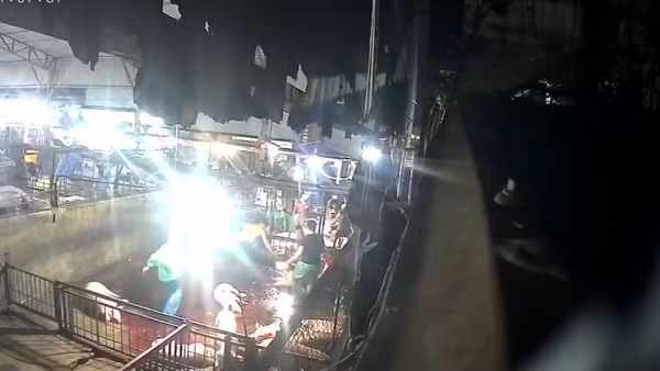 [Video] Hà Nội yêu cầu rà soát đầu mối cung cấp thực phẩm cho các trường học