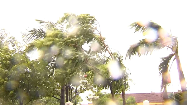 [Video] Bão năm 2026 có thể ít hơn, nhưng khó dự báo