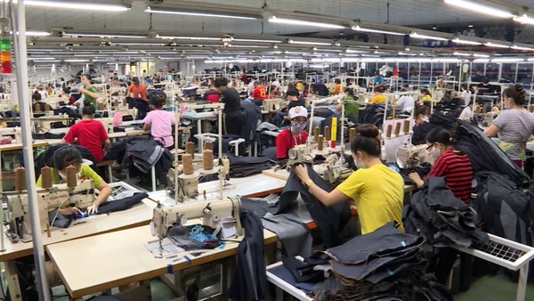 [Video] Người lao động vùng đặc biệt khó khăn có thể nghỉ hưu sớm từ 1/1/2026