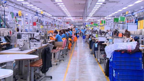 [Video] Di cư nội địa 2009-2024: Thanh niên giảm, trung niên tăng