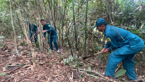 [Video] Nhiều địa phương bước vào mùa “phòng, chống cháy rừng”