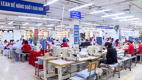 [Video] Lao động thời vụ được “săn đón” dịp cận Tết