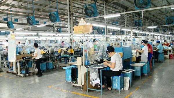 [Video] Tăng lương tối thiểu vùng từ ngày 1/1/2026