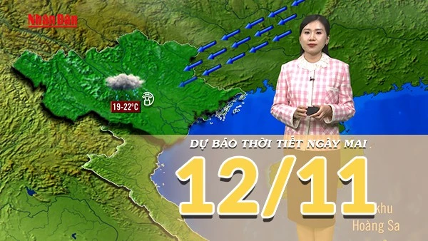[Video] Dự báo thời tiết đêm nay và ngày mai 12/11/2025: Không khí lạnh tăng cường xuống nước ta
