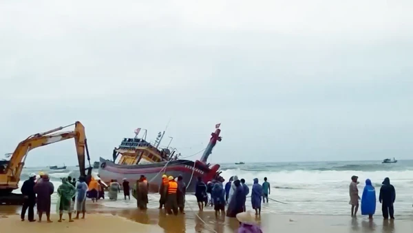 [Video] Thành lập Cổng Thông tin điện tử Ban Chỉ đạo Phòng thủ dân sự quốc gia