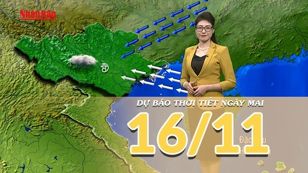 [Video] Dự báo thời tiết đêm nay và ngày mai 16/11/2025: Miền Bắc chuyển trạng thái trời nhiều mây