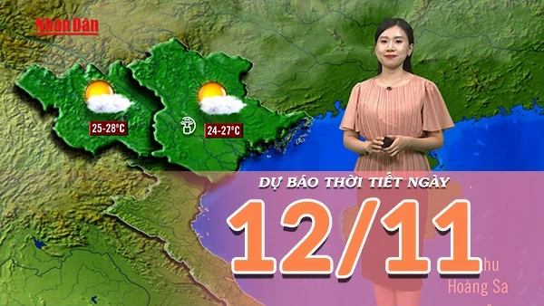 [Video] Dự báo thời tiết ngày 12/11/2025: Miền Bắc chuyển tạnh ráo 