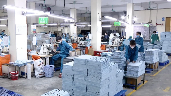 [Video] Báo cáo tình hình tiền lương và thưởng Tết trước ngày 25/12/2025