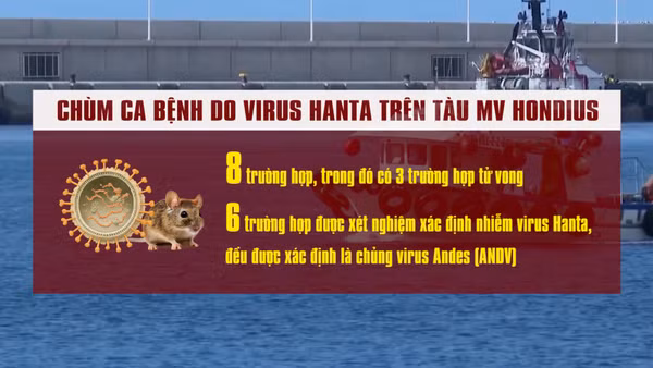 [Video] Bộ Y tế thông tin về chủng virus Hanta đang được WHO cảnh báo