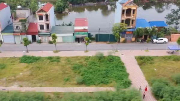 [Video] Điều chỉnh giảm hơn 1,1 triệu hecta đất nông nghiệp