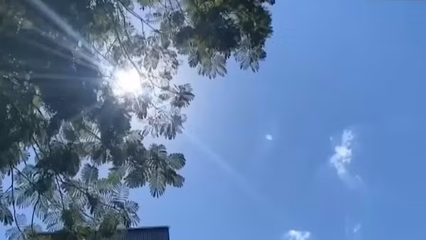 [Video] Tháng 7, Bắc Bộ và Trung Bộ nắng nóng nhiều ngày, Nam Bộ dự báo đón 2-4 đợt mưa lớn
