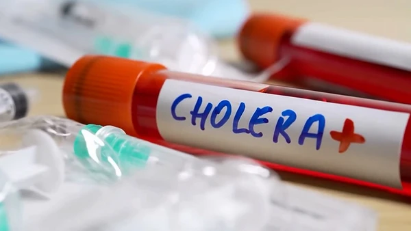 [Video] Dịch tả toàn cầu bùng phát, Việt Nam không thể chủ quan! 