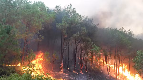 [Video] Tăng cường phòng cháy, chữa cháy rừng do nắng nóng diện rộng