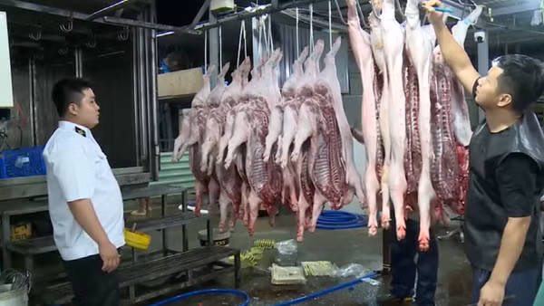 [Video] Thủ tướng yêu cầu chấn chỉnh kiểm soát giết mổ, xử lý nghiêm vi phạm an toàn thực phẩm