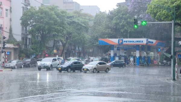 [Video] Miền Bắc sắp đón đợt mưa dông mới, trời rét kéo dài