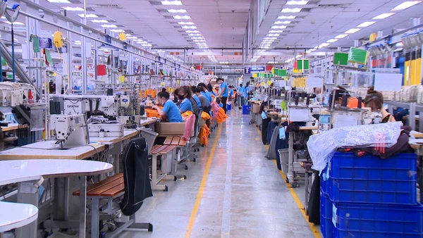 [Video] Xuất hiện mức thưởng Tết lên đến 1,8 tỉ đồng