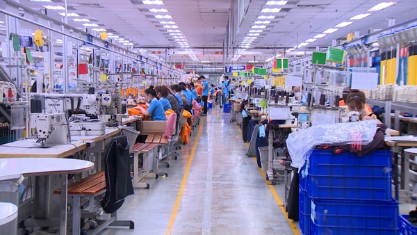 [Video] Dự báo thời kỳ dân số vàng của Việt Nam sẽ kết thúc vào năm 2036