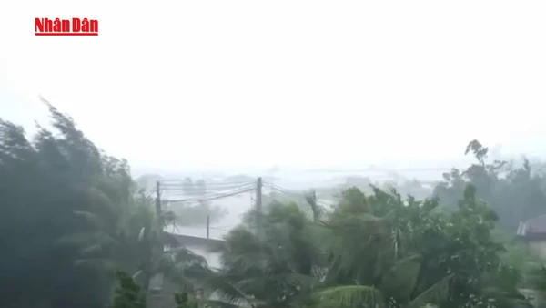 [Video] Chủ động ứng phó mưa lớn, rét đậm, rét hại và gió mạnh trên biển