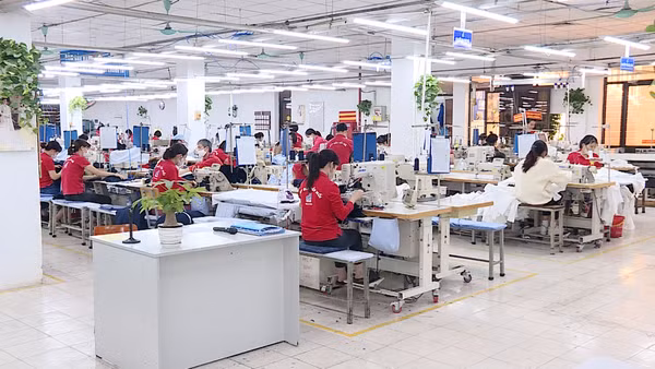 [Video] Hoàn thành kế hoạch cơ cấu lại vốn nhà nước tại doanh nghiệp trước ngày 31/8/2026