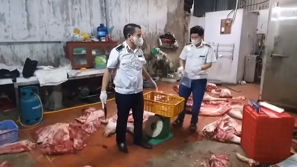 [Video] Chuyển cơ quan điều tra vụ gần 1 tấn thịt lợn nghi nhiễm dịch tả lợn Châu Phi tại Hưng Yên