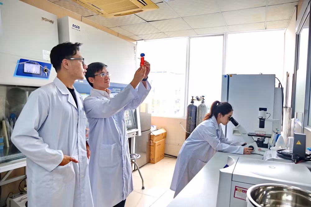 Nghiên cứu khoa học tại Viện Hàn lâm Khoa học và Công nghệ Việt Nam.