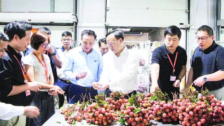 Lãnh đạo, người lao động Công ty TNHH Welstory Việt Nam thưởng thức vải thiều. (Ảnh TRỊNH LAN) lanhdao-9580.jpg