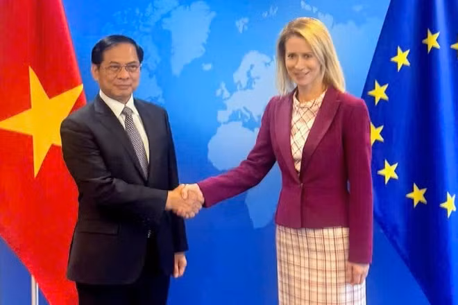 Phó Thủ tướng Chính phủ Bùi Thanh Sơn làm việc với Phó Chủ tịch Ủy ban châu Âu (EC) Kaja Kallas. (Ảnh: Bộ Ngoại giao)