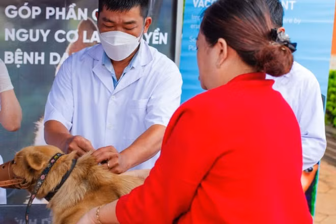 Tiêm phòng cho thú cưng để ngăn ngừa bệnh dại. (Ảnh minh họa: FOUR PAWS)