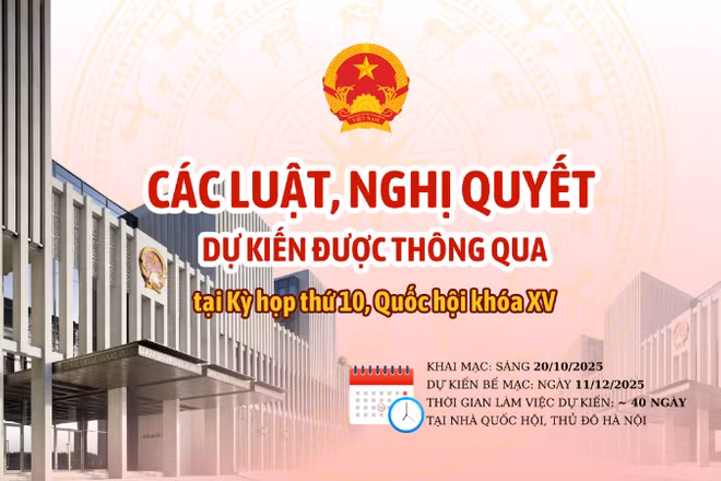 [Infographic] Các luật, nghị quyết dự kiến được thông qua tại Kỳ họp thứ 10, Quốc hội khóa XV