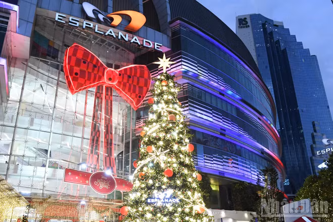 Từ đầu tháng đến nay, cây thông Noel tại hàng chục địa điểm tại Bangkok báo hiệu mùa Giáng sinh đã đến.