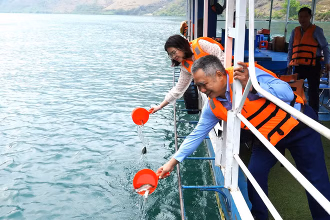 Thả cá giống tái tạo nguồn lợi thủy sản tại lòng hồ thủy điện Nho Quế 1.