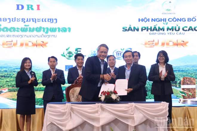 Công ty Daklaoruco cũng ký các bản ghi nhớ hợp tác và hợp đồng mua bán sản phẩm mủ cao su đáp ứng EUDR với các đối tác. (Ảnh: DUY TOÀN)