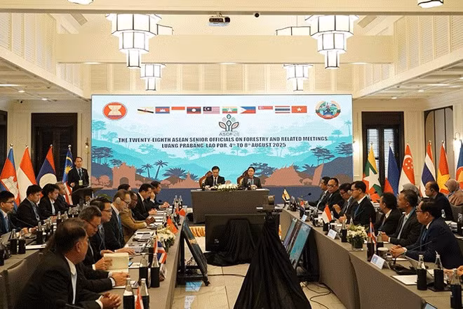 Quang cảnh hội nghị. (Ảnh: Cộng tác viên)