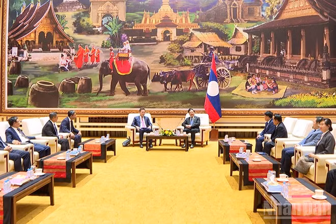 Đoàn đại biểu Kiểm toán Nhà nước Việt Nam chào xã giao Thủ tướng Lào Sonexay Siphandone. (Ảnh: TRỊNH DŨNG)