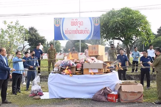 Tiêu hủy ma túy tại tỉnh Sayaboury (Bắc Lào). (Ảnh: PASAXON)