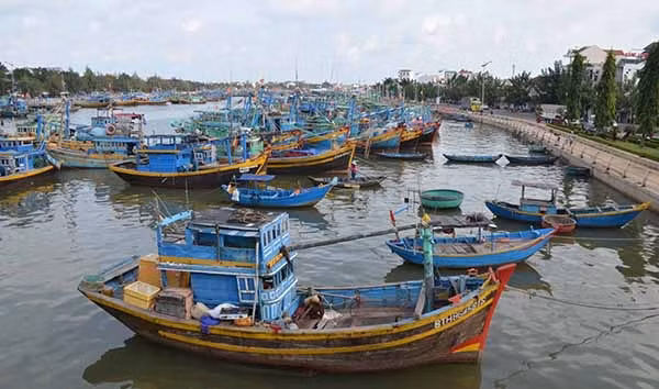 Các tàu thuyền được bố trí neo đậu trên sông Cà Ty, TP Phan Thiết để tránh trú bão.