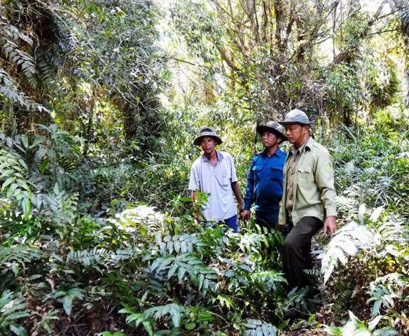 Tuần tra, bảo vệ rừng ở VQG U Minh hạ.