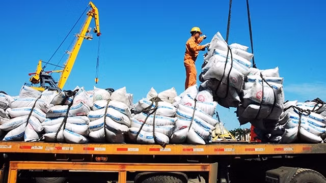 Nhiều chuyên gia, doanh nghiệp nhận định, đối với Việt Nam, CPTPP có ý nghĩa lớn về thương mại, đầu tư và mặt thể chế. Trong ảnh: Xuất nhập khẩu hàng hóa tại cảng Hải Phòng.