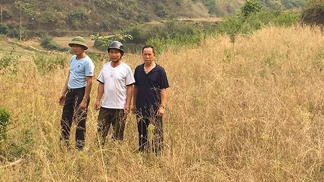 Cây cỏ cũng không sống nổi trên cánh đồng bậc thang Na Nghịu.